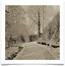 JB june bannister ashes off sack lane arley - June Bannister
